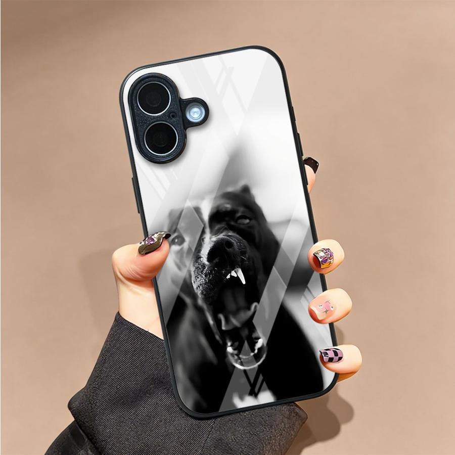 Case for iPhone 17 Pro Max 8 1 - Phone Cases Xr recensie en prijs